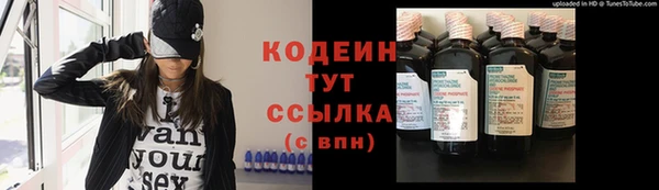 PSILOCYBIN Горняк