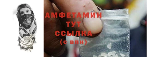 PSILOCYBIN Горняк