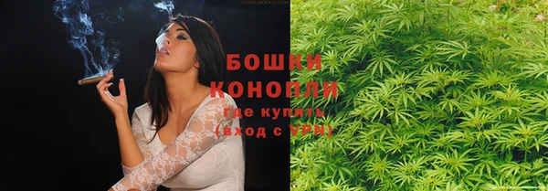 PSILOCYBIN Горняк