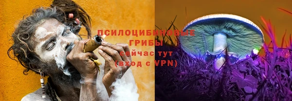 PSILOCYBIN Горняк