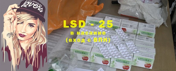 PSILOCYBIN Горняк