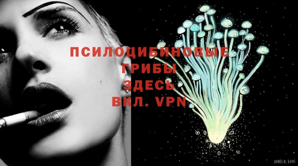 PSILOCYBIN Горняк
