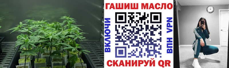 KRAKEN онион  Улан-Удэ  ТГК вейп с тгк 