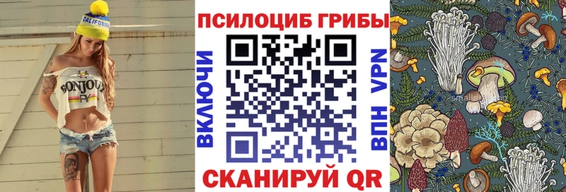 Псилоцибиновые грибы GOLDEN TEACHER  купить закладку  Улан-Удэ 